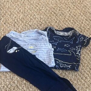 Carter's Blue and Navy Kids Matching Set